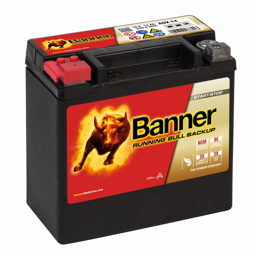 Banner Pro P11040 Power Bull PROfessional 110Ah Autobatterie